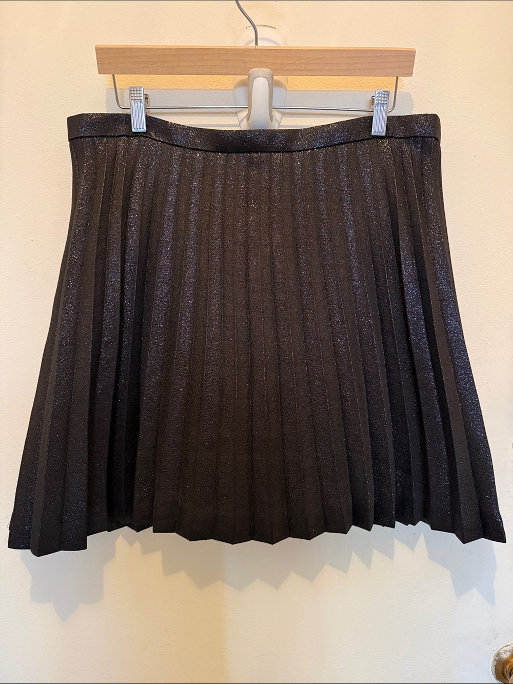 Jcrew Sparkly Pleated Skirt